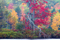 New Hampshire Landscape